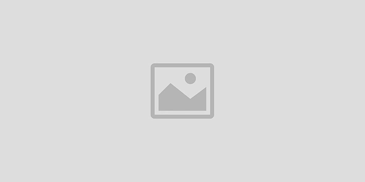 Mastodon Marketplace Limited